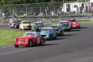 It is always an amazing sight to see such a large collection of Healeys racing together