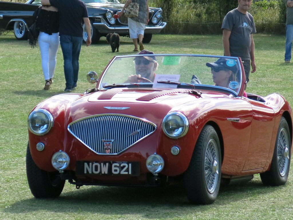 The New Forest Austin Healey Club have a stand at The White Dove Collector's Transport Show