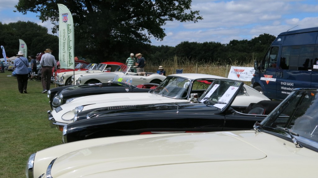 Bill Rawles Classic Cars and The New Forest Austin Healey Club at The White Dove