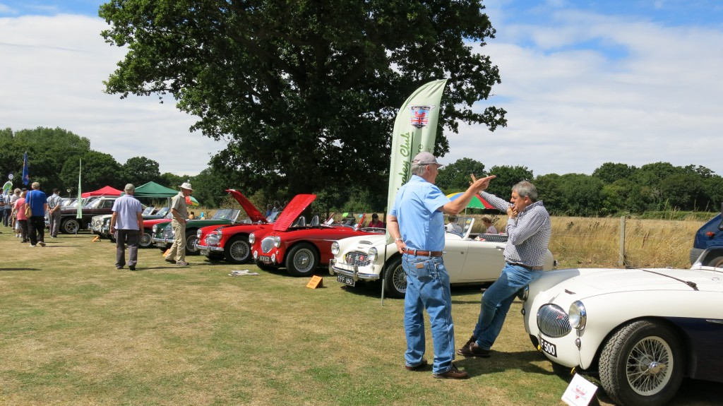 The New Forest Austin Healey Club have a stand at The White Dove Collector's Transport Show