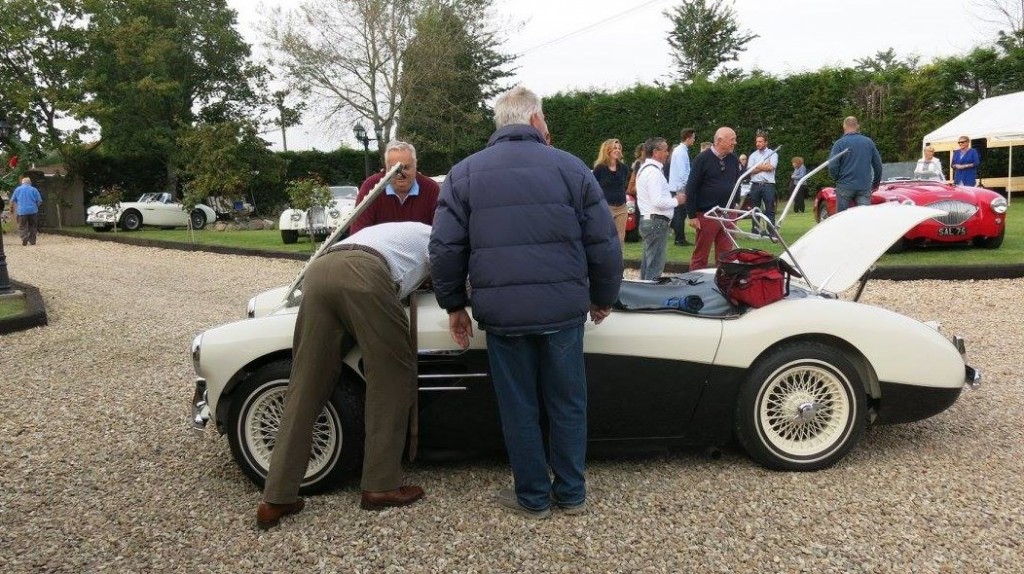 Austin Healey BN2 100 M Spec - Healing Powers