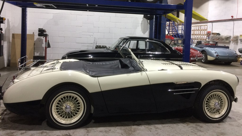 Austin Healey BN2 100 M Spec - Healing Powers