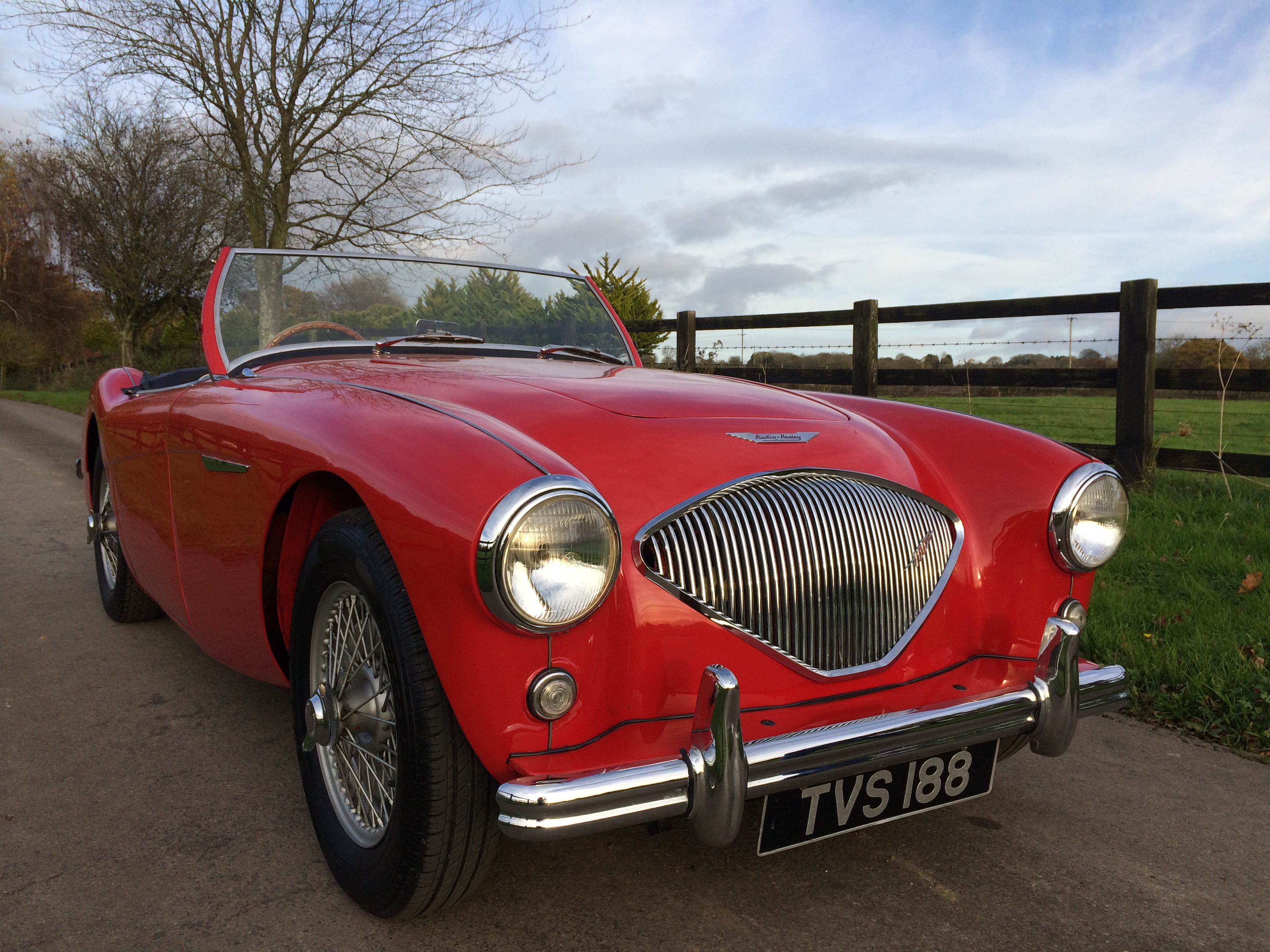 Austin Healey 100 BN2 1956 for sale at Bill Rawles Classic Cars Ltd